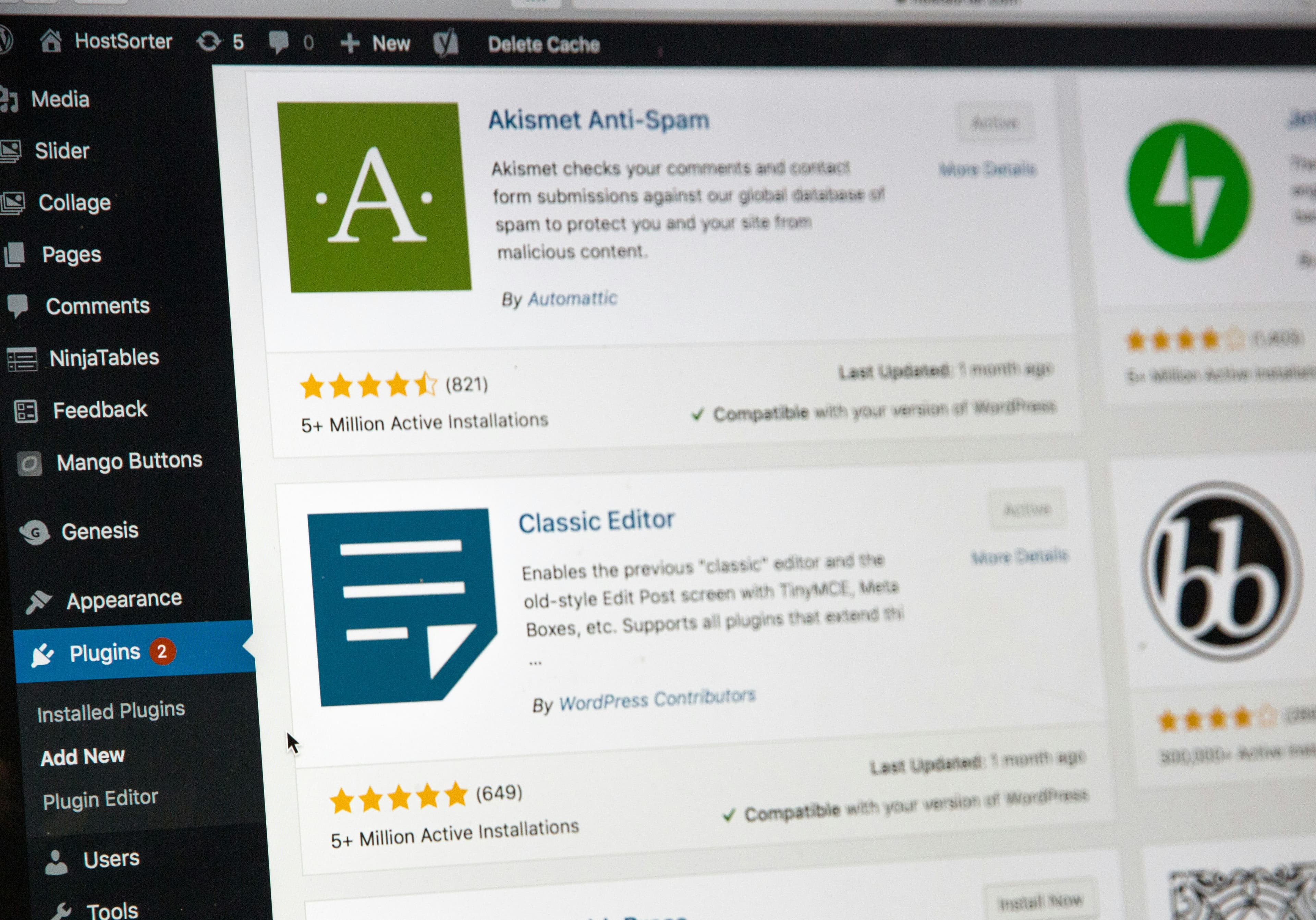 Freelance wordpress