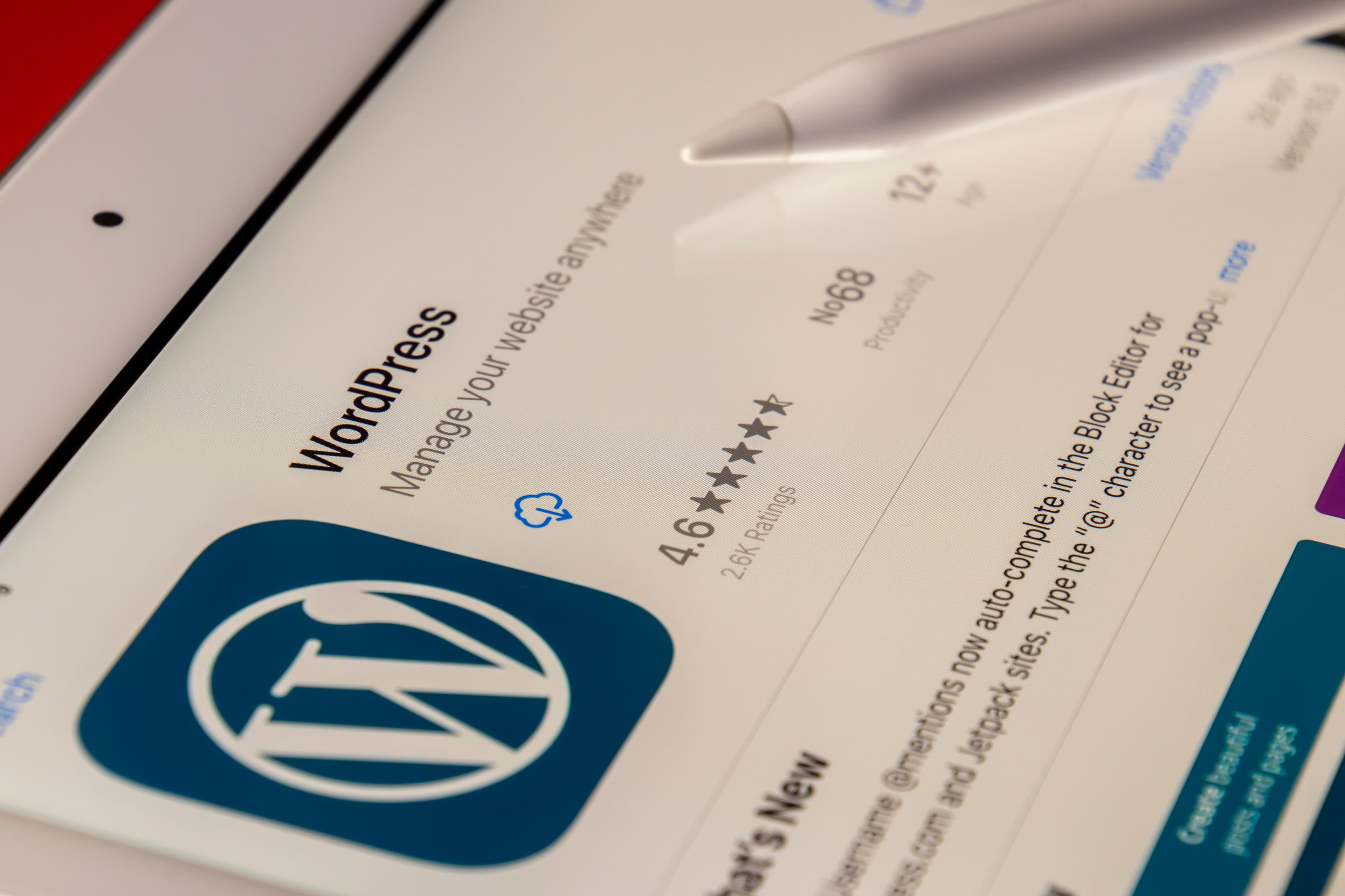 Freelance créateur de site wordpress